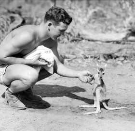 solider and a pet kangaroo joey, 1942