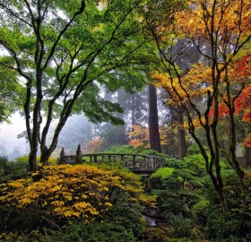 bridge in japanese garden, portland
