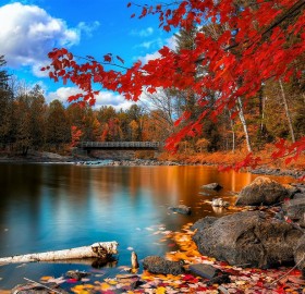 colors of oxtongue rapids, canada