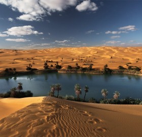 desert oasis, libya