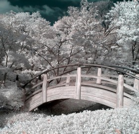 zen garden in infrared