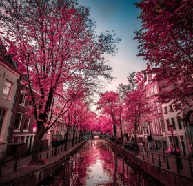 streets of amsterdam