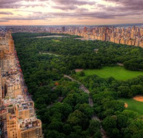 central park and new york city
