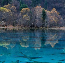 five flower lake, china