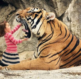 say “aaahhh” big tiger