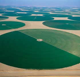 agriculture in desert, saudi arabia