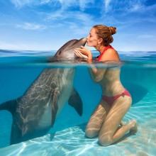 giving a kiss to a dolphin