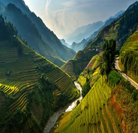 stunning rice terraces of northeast vietnam