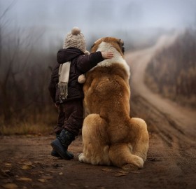 The Amazing World Of Dogs In Photography PART 2