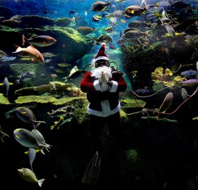 underwater santa