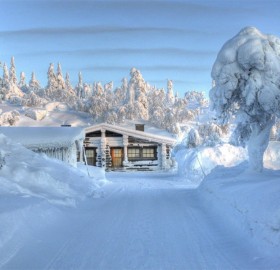 magical winter in finland