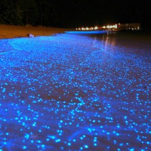 most beautiful beach glows like millions of stars at night