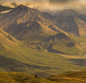 stunning denali national park, alaska
