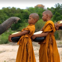 elephant welcoming buddhist monk kids
