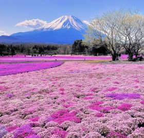 breathtaking view on mount fuji, japan