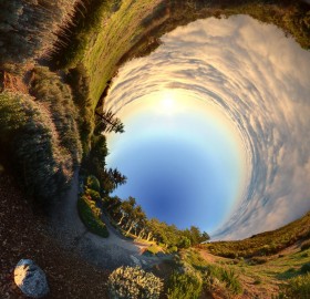 falling down the rabbit hole