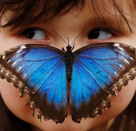 blue morpho butterfly and a three-Year-Old girl