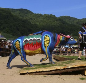buffalo bodypainting competition in china