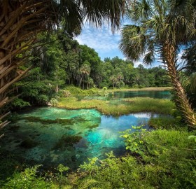 natural freshwater springs, florida