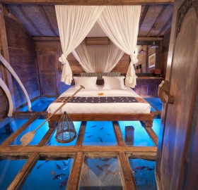 amazing room with glass floor shows underwater world