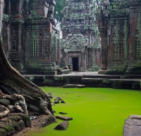 ta prohm temple, cambodia