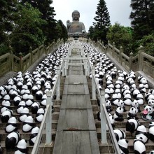 1600 pandas bellow tian tan buddha, hong kong