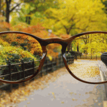 central park autumn through glasses [GIF]