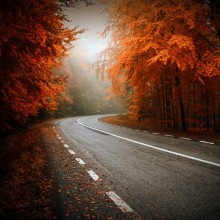 autumn in transylvania, romania