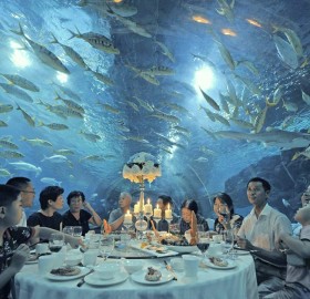 restaurant under aquarium