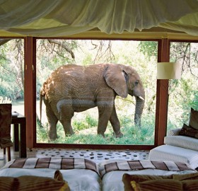 room with a view, nakanyane safari lodge, south africa