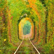 Most Beautiful Train Tunnel In The World