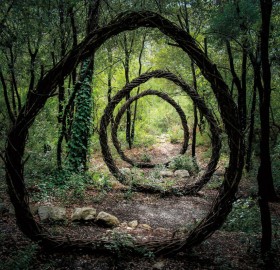 Nature Inspired Sculptures In Deep Forest