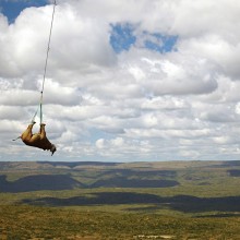 Black Rhino Transportation, South Africa