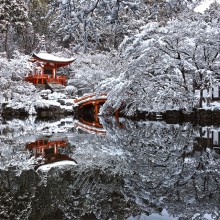 Winter In Kyoto, Japan