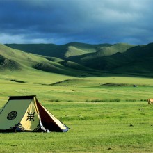 Mongolian-Manchurian Grassland