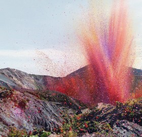 Flower Petal Explosion Near The Irazú Volcano, Costa Rica