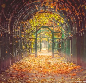 A Garden Tunnel In Peterhof Palace, St Petersburg, Russia