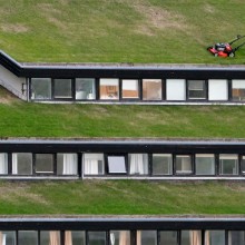 Mowing The Grass On Roof Of A Building, Faroe Islands
