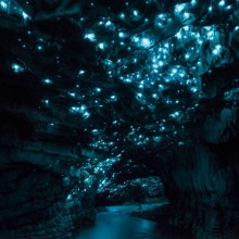 Firefly Lights Inside Cave, New Zealand