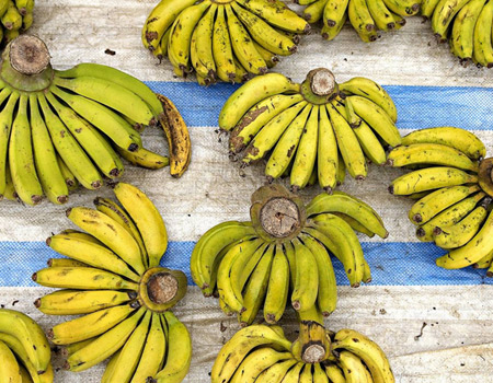 just bananas