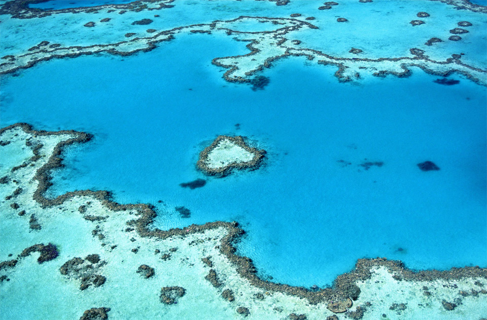 hardy reef, australia photo | One Big Photo