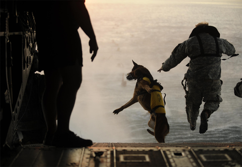 dog and soldier jumping out of helicopter