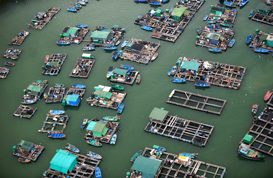 floating market, hong kong