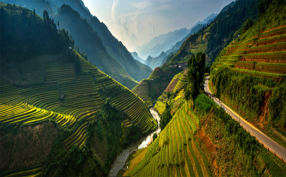 stunning rice terraces of northeast vietnam