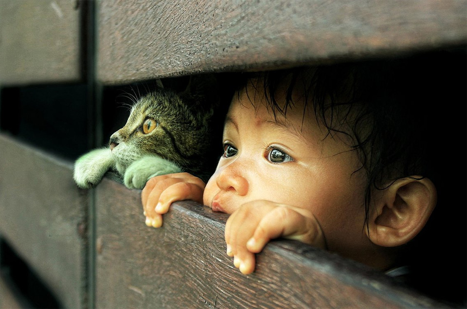 adorable photo of a child and a cat