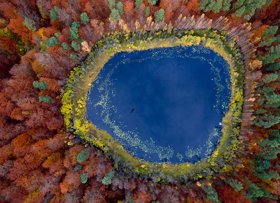 view from above on a small lake inside forest, poland