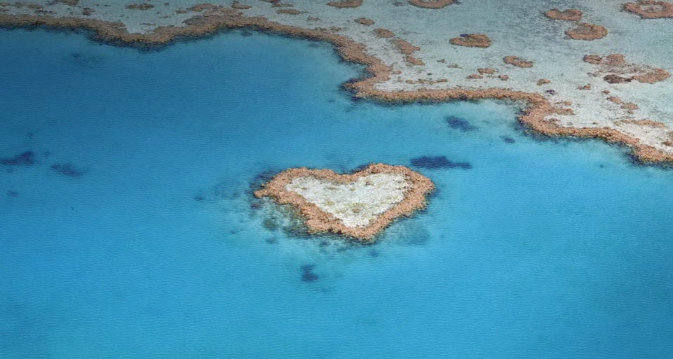 heart shaped coral reef, australia