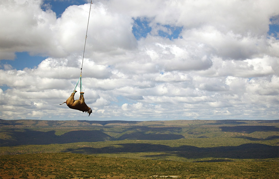Black Rhino Transportation, South Africa