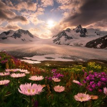 Amazing Photos of Wildly Beautiful Alaska