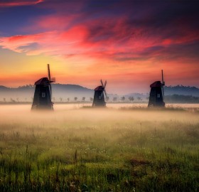 Morning Mist in Holland